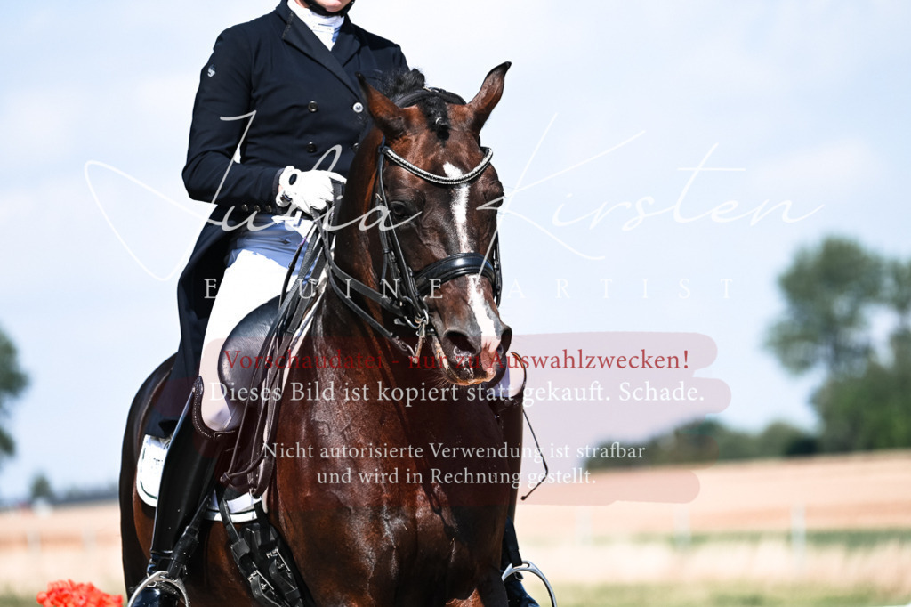 DSC_2955 | Pferde- und Turnierfotografie in Westsachsen. Pferdeportraits, Auftragszeichnungen und intuitive Kunst.