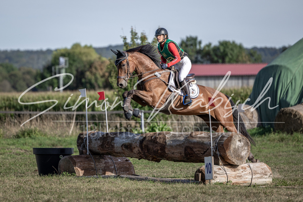 20250907-_3LI3893 | Tierfotografie Pferde, Hunde, Katzen, Haustiere.
Turnierfotografie Reitturniere, Reiten, Springreiten, Dressur in Hanau, dem Main-Kinzig-Kreis und dem Rhein-Main- Gebiet um Frankfurt