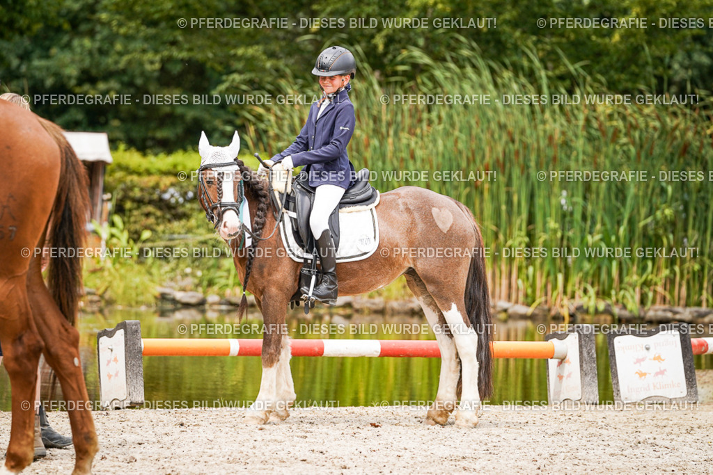 DSC04698 | Pferdegrafie