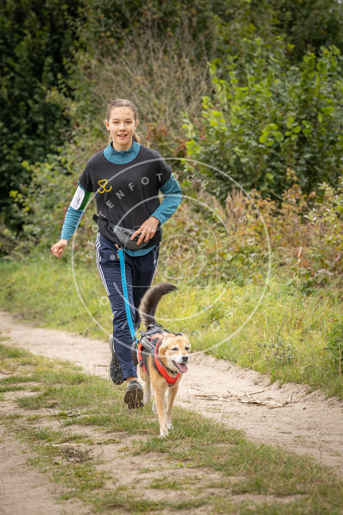 Pfotenfotografie_DV3A6342 | Hundefotografie, Tierfotograf, Pfotenfotografie, Fotoshooting Hund, Hunde Portrait, Hundesport, Hundeportraits, Heideshooting, Hunde, Sportfotograf, Hundefotograf, Turnierhundsport, THS,  - Realisiert mit Pictrs.com