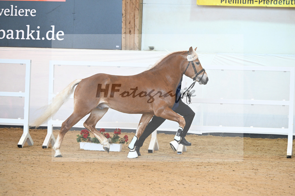 Kat-Nr. 16 v. Sturmdrang_HLG Schwaiganger_2230215 | hf-fotografie - Realisiert mit Pictrs.com