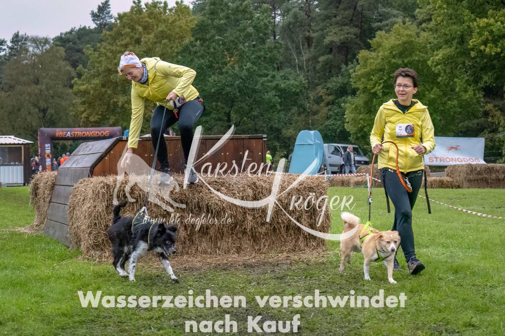 1208--8 | kk-dogfotos