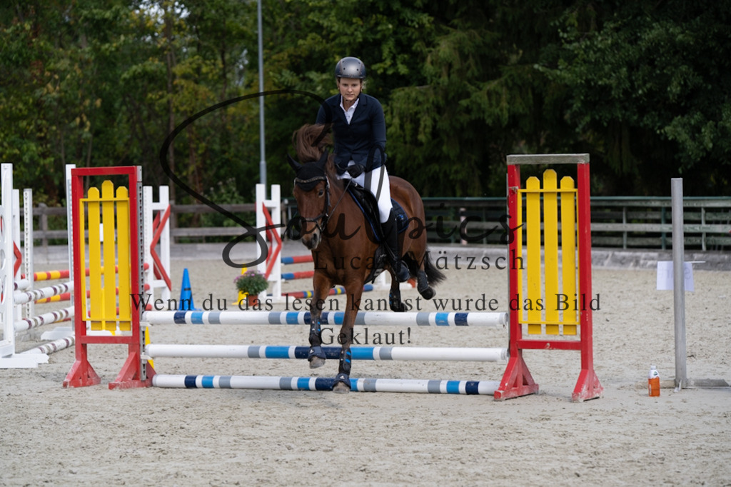 A7V07244 | Pferdefotograf