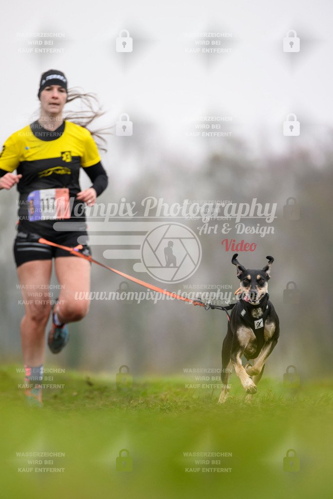 MompixPhotography_CDF2023_FFST_Di_Canicross-85 | PayLife