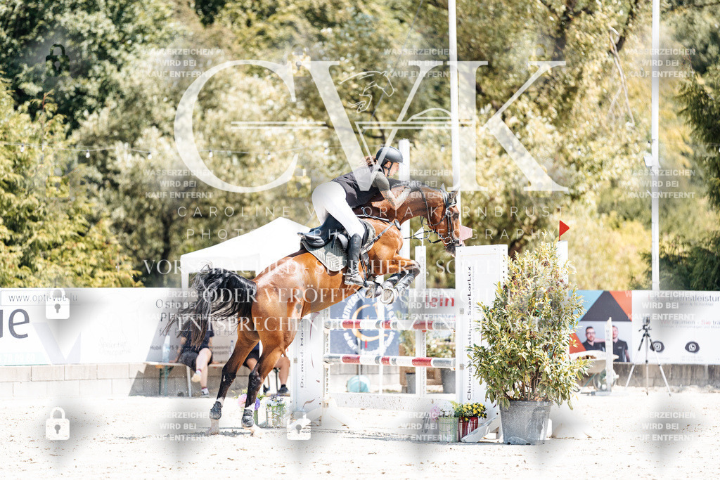 CK900323 | Turnierfotografie Pferdefotografie Trier Rheinland-Pfalz Pferdesport Reitsport Tierfotografie Sportfotografie Pferdevideo Pferdevideografie Equestrianvideography equestrianphotography  - Realisiert mit Pictrs.com