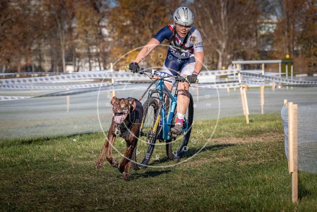 CaniXpix_0L8A4885 | Hundefotografie, Tierfotograf, Pfotenfotografie, Fotoshooting Hund, Hunde Portrait, Hundesport, Hundeportraits, Heideshooting, Hunde, Sportfotograf, Hundefotograf, Turnierhundsport, THS,  - Realisiert mit Pictrs.com