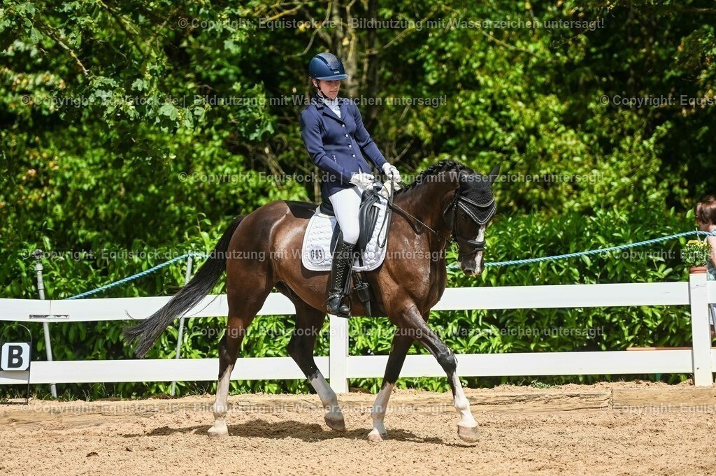 20230715_02_Dressurreiterprüfung Kl.L_0301 | equistock
