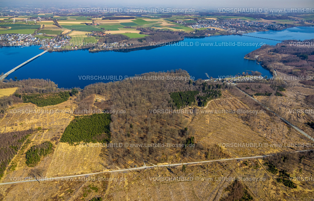 Moehnesee220301599 | Luftbild, Friedwald, Waldfriedhof, Halbinsel im Möhnesee, Waldsterben, Rodungen,   Delecke, Möhnesee, Sauerland, Nordrhein-Westfalen, Deutschland