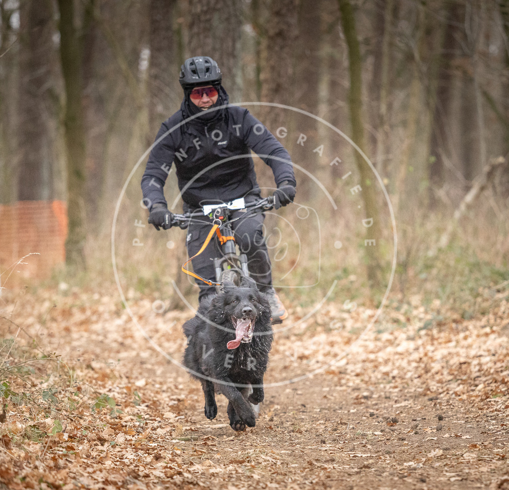 Pfotenfotografie_DV3A6376 | Hundefotografie, Tierfotograf, Pfotenfotografie, Fotoshooting Hund, Hunde Portrait, Hundesport, Hundeportraits, Heideshooting, Hunde, Sportfotograf, Hundefotograf, Turnierhundsport, THS,  - Realisiert mit Pictrs.com