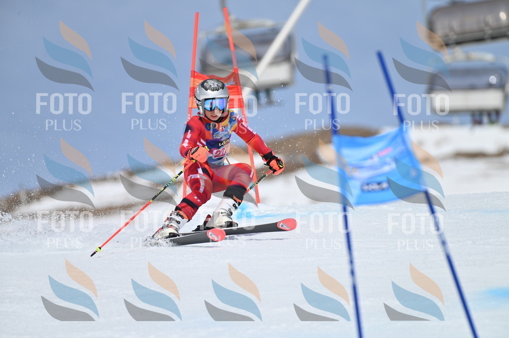 BGV_1434 | holidayphoto