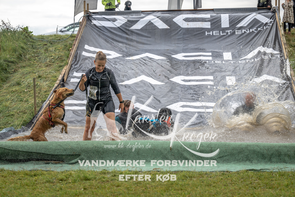 1428_ZZ90522 | kk-dogfotos