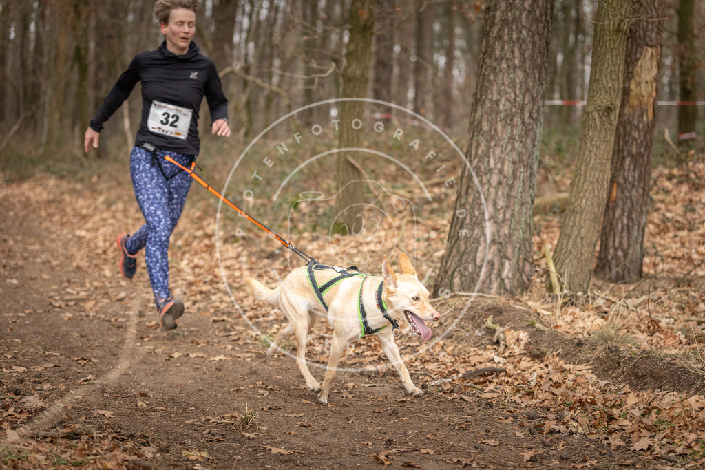Pfotenfotografie_DV3A9493 | Hundefotografie, Tierfotograf, Pfotenfotografie, Fotoshooting Hund, Hunde Portrait, Hundesport, Hundeportraits, Heideshooting, Hunde, Sportfotograf, Hundefotograf, Turnierhundsport, THS,  - Realisiert mit Pictrs.com