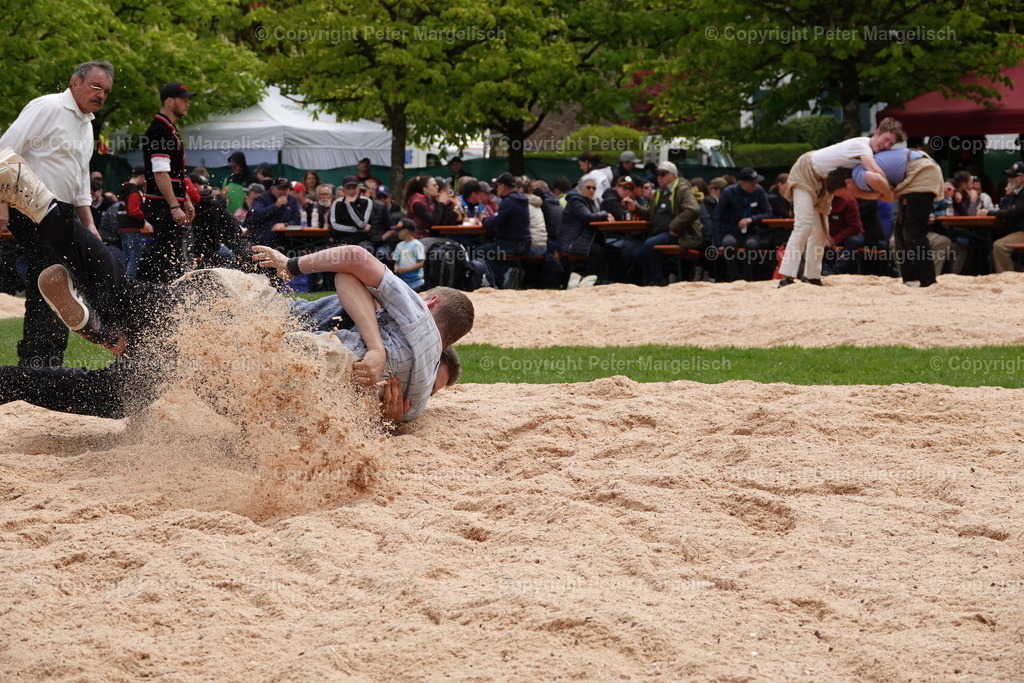 DSC00570 | Schwingen - Realisiert mit Pictrs.com