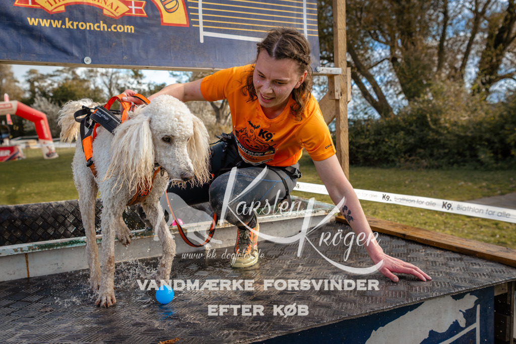 1548_ZZ97136 | kk-dogfotos