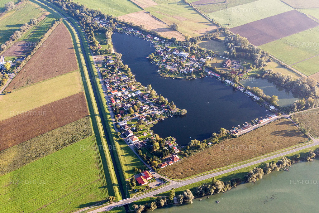 Luftbild: Wochenendgrundstücke am Ufer des Baggersees Hohwiesensee in Ketsch im Bundesland Baden-Württemberg in Deutschland. Foto: IMG_073054.jpg vom 23.09.2014 durch Werner Riehm/FLY-FOTO.de