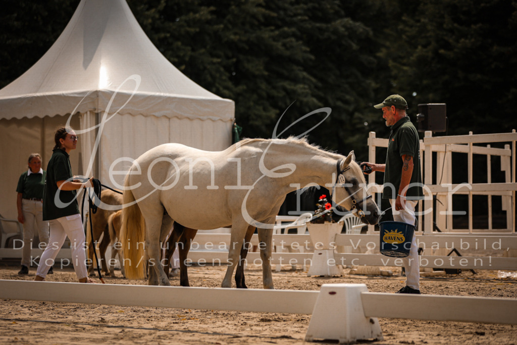 02.DoSR00200 | Leoni Ertmer Photography - Realisiert mit Pictrs.com