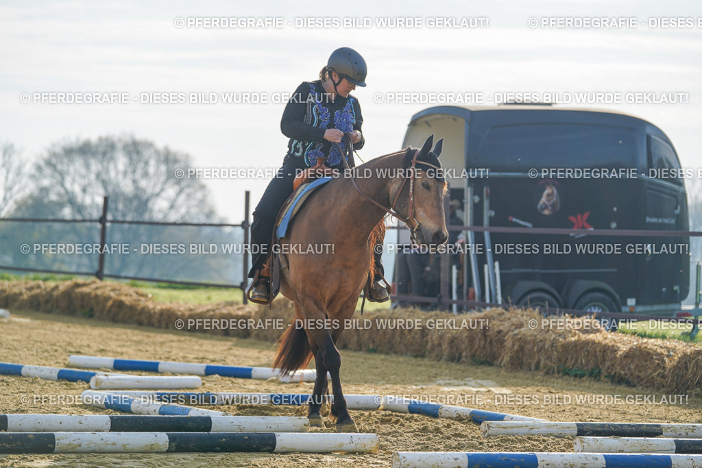 DSC00622 | Pferdegrafie