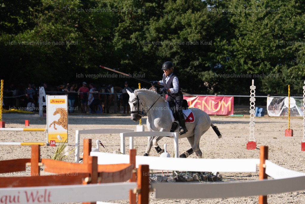 WS_SP_57_SinaFilmArt_IN09517 | working equitationturnier fotograf videograf stoibphotography marixx film working equitation deutschland reitsport turnierfotografie eventfotografie equestrian events