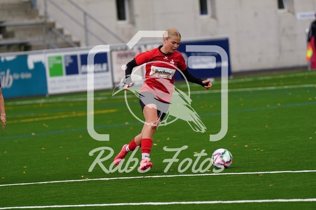 SON08818 | rabefotos