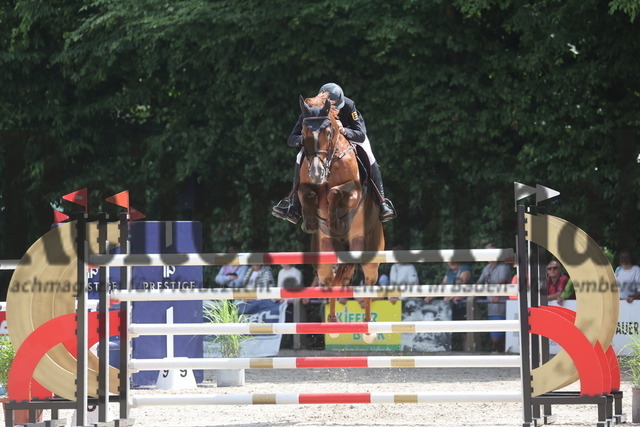 Ichenheim_2024_Prfg.Nr01_Springprfg_Kl.S_m.St._Nick Armbruster_Isodermus PP (1) | Alle Fotos der Reiterjournal Fotografin Doris Matthaes im Reiterjournal Online-Fotoshop. - Realisiert mit Pictrs.com