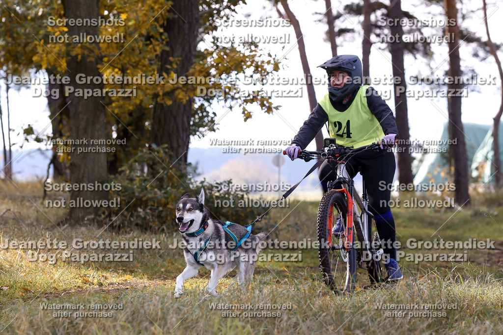 Dog Paparazzi - Elsholz 25 -113 | Dog Paparazzi Jeanette Grottendiek Fotografie & Videografie - Realisiert mit Pictrs.com