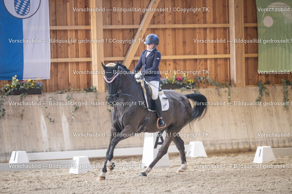 _D5A2146 | Emotionale Pferde- & People-Fotografie rund um Heidelberg, Leimen & Umgebung. Natürliche Fotos von Pferd, Mensch & Familie. Jetzt Termin sichern!