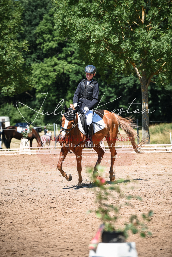 DSC_3284 | Pferde- und Turnierfotografie in Westsachsen. Pferdeportraits, Auftragszeichnungen und intuitive Kunst.