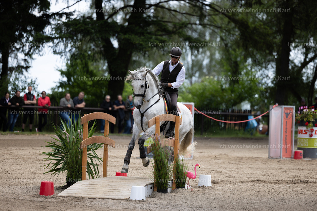 Masterclass_stoibphotography_C2_C8045.CR3 | working equitationturnier fotograf videograf stoibphotography marixx film working equitation deutschland reitsport turnierfotografie eventfotografie equestrian events