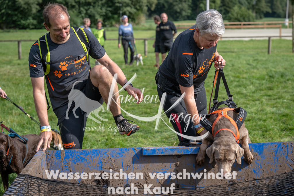 _ZZ91300 | kk-dogfotos