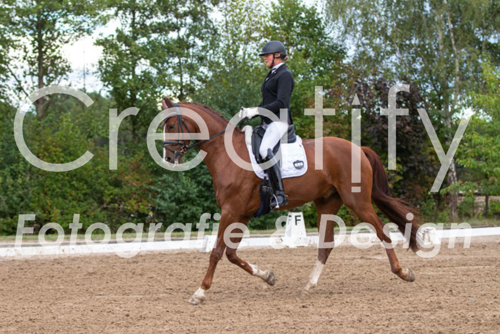 IMG_5093 | Creatify Fotografie