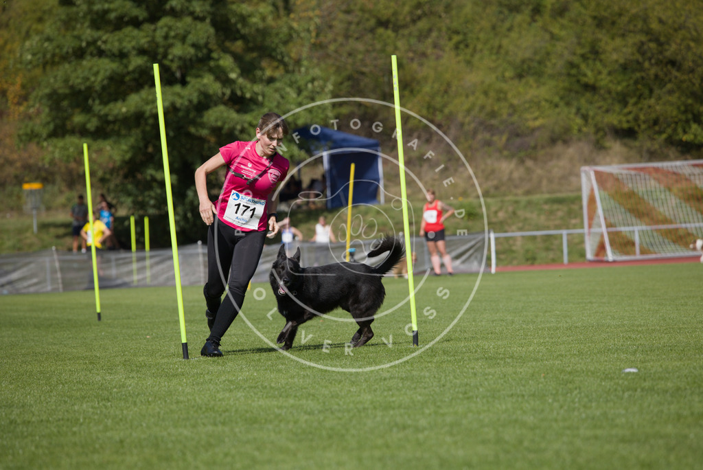 0L8A3297 | Hundefotografie, Tierfotograf, Pfotenfotografie, Fotoshooting Hund, Hunde Portrait, Hundesport, Hundeportraits, Heideshooting, Hunde, Sportfotograf, Hundefotograf, Turnierhundsport, THS,  - Realisiert mit Pictrs.com
