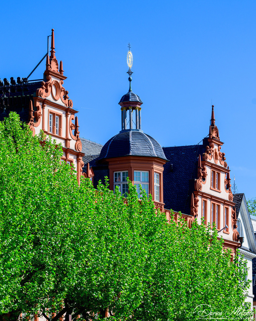 DSC_1324 2 | Fotografien, Fotos und Bilder aus Mainz, Frankfurt, Wiesbaden und anderen Orten auf der Welt - Fotografiert von Darius Metzner