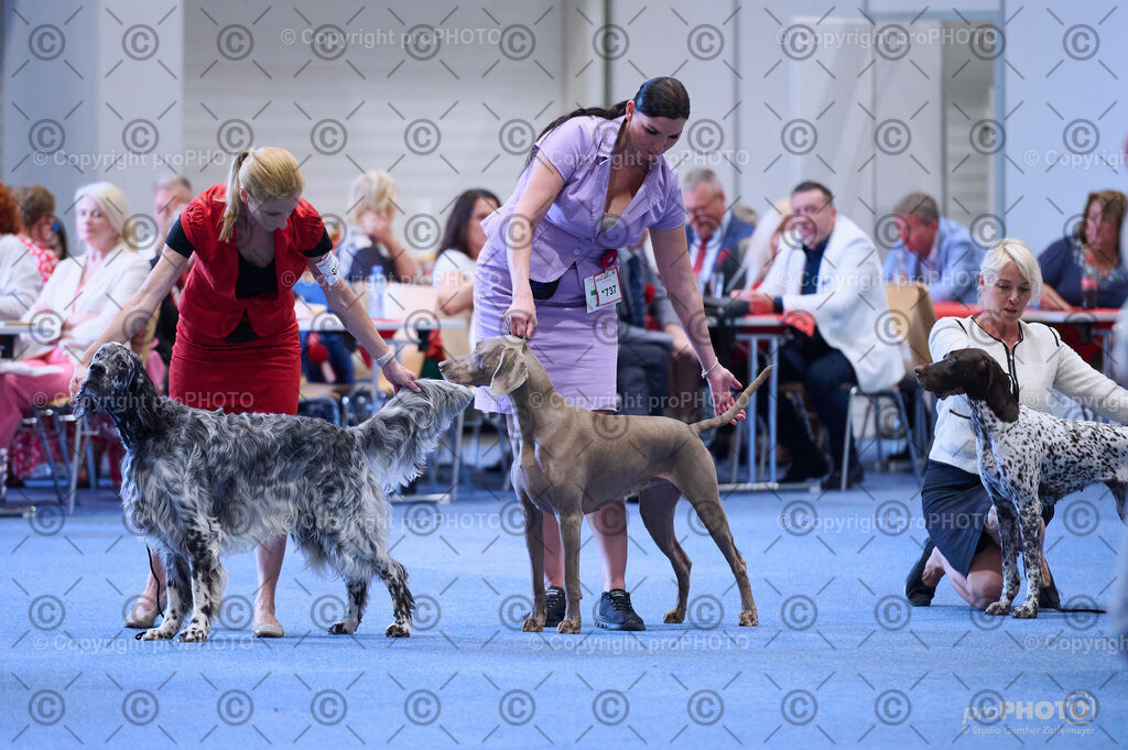 202406_ÖKV-IHA-Tulln24_DSC_4088 | proPHOTO - Realisiert mit Pictrs.com