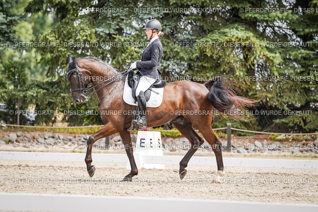 DSC03418 | Pferdegrafie