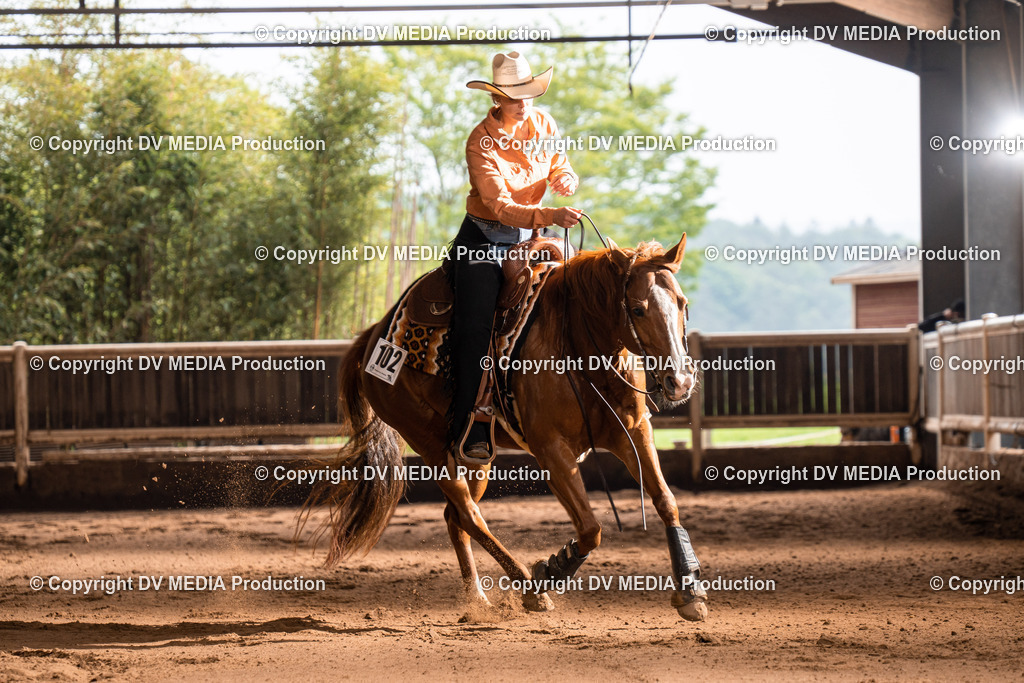 Erbach Tag 2-791 | dv-media-shop - Realisiert mit Pictrs.com