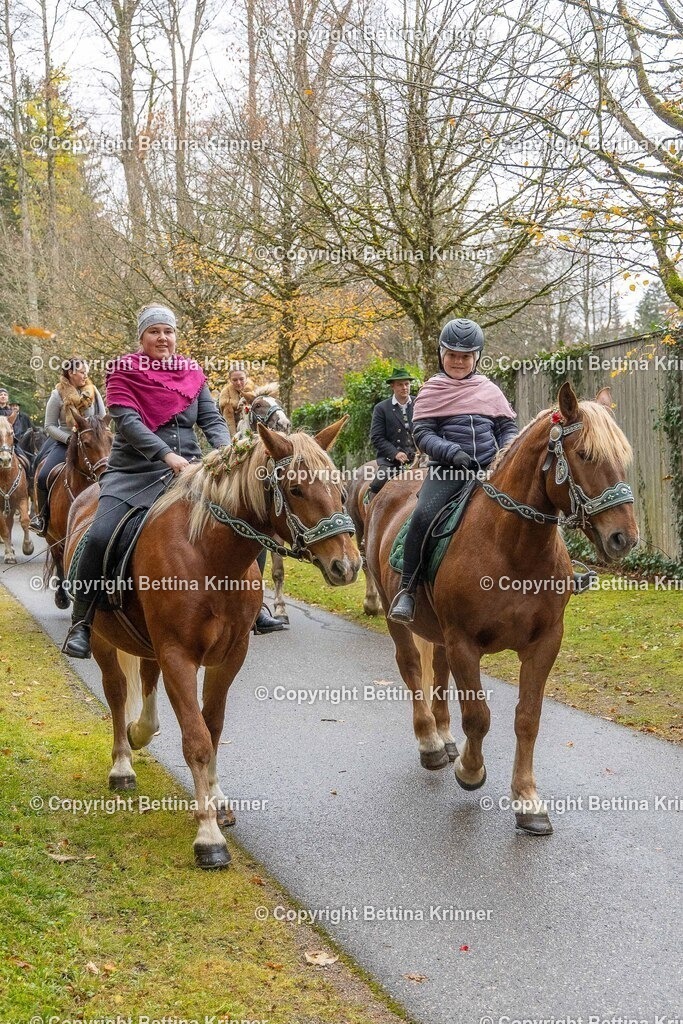 LL25-245 | foto-bettina-krinner - Realisiert mit Pictrs.com