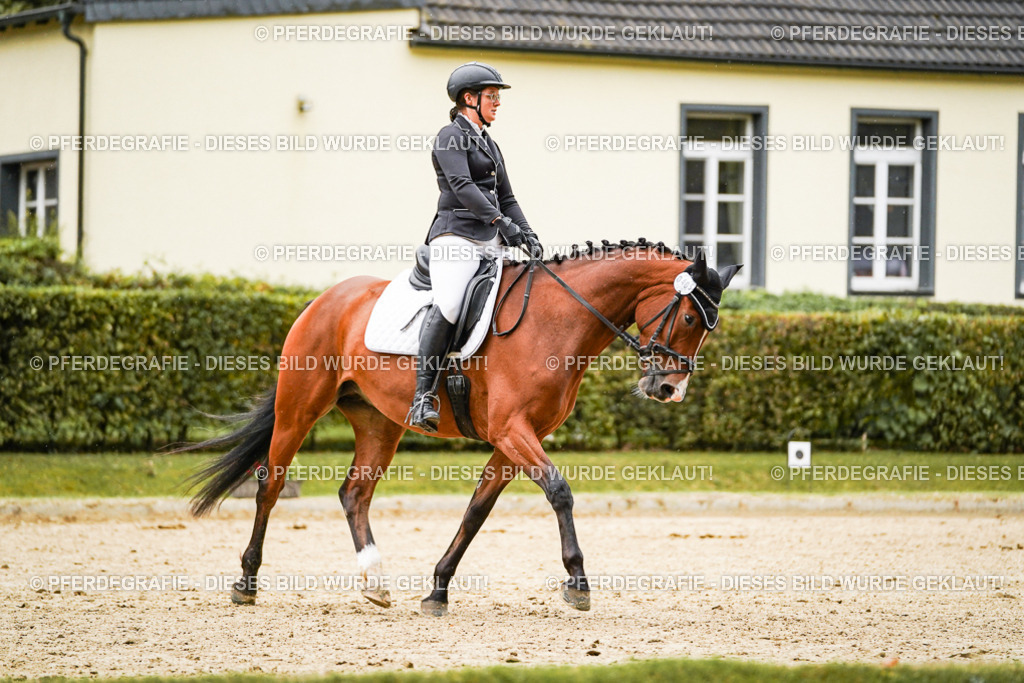 DSC07232 | Pferdegrafie