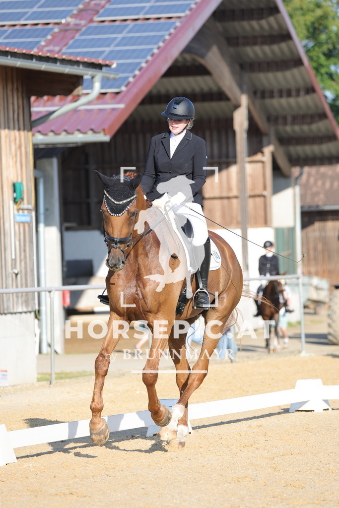 0P6A8387 | Willkommen bei Brunnmayr - Design & Fotografie – Ihrem Spezialisten für Reitturniere und Pferdeveranstaltungen in Oberösterreich, Salzburg und Bayern! Seit über 17 Jahren sind wir leidenschaftlich dabei.