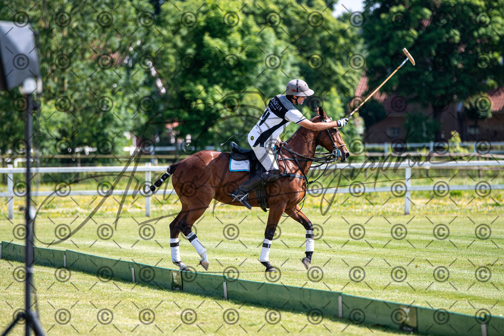 POL_2378 | andre_photographic