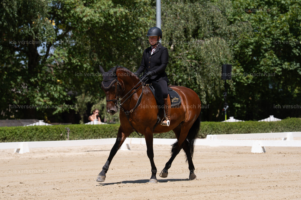 WS_DR_97_sinafilmart_IN08450 | working equitationturnier fotograf videograf stoibphotography marixx film working equitation deutschland reitsport turnierfotografie eventfotografie equestrian events