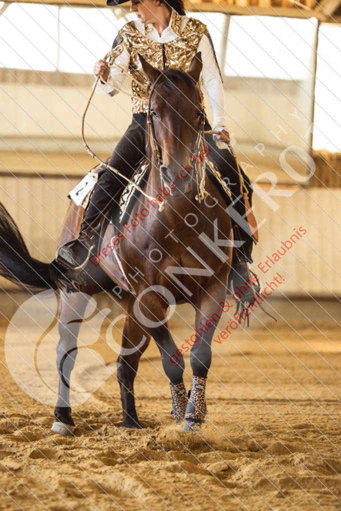 IMG_4831 | Sport-, Event- und Tierfotos in Profiqualität. Einfach auswählen, bestellen und herunterladen. Dein Moment – perfekt festgehalten.