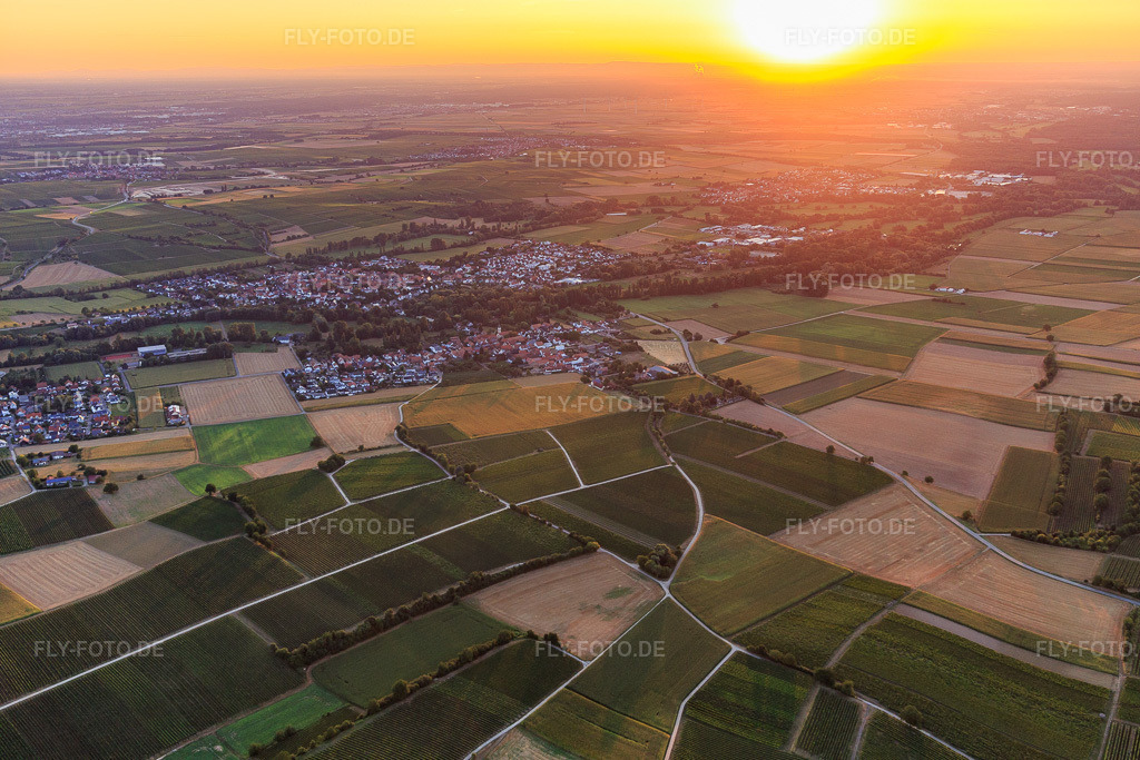 Luftbild: Ortansicht bei Sonnenaufgang von Süden im Ortsteil Mühlhofen in Billigheim-Ingenheim im Bundesland Rheinland-Pfalz in Deutschland. Foto: IMG_109654.jpg vom 06.08.2018 durch Werner Riehm/FLY-FOTO.de