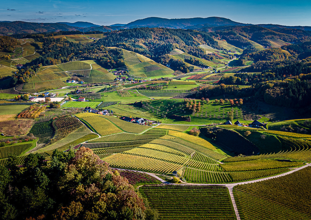 MPI_Renchtal_0023 | Herbst über dem Bottenauer Tal - Realisiert mit Pictrs.com