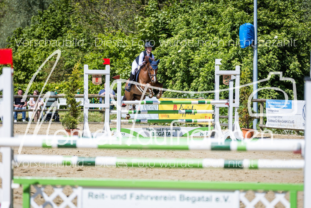 Donop24-Stil-L-069 | MomenTaufnahmen Pferdesportfotos