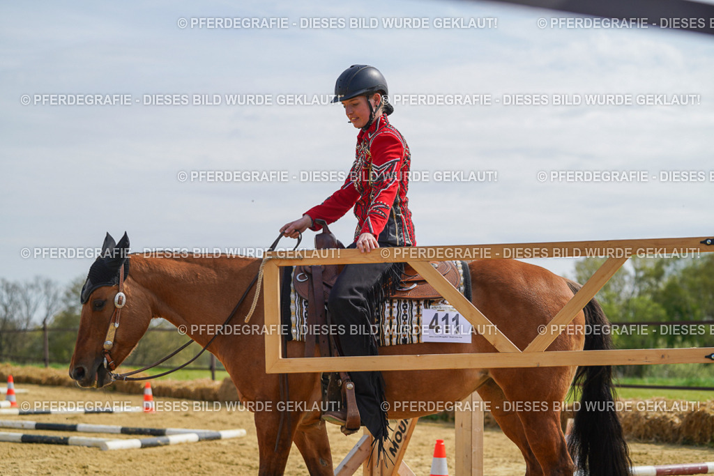 DSC04456 | Pferdegrafie