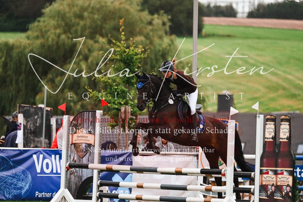 DSC_6588 | Pferde- und Turnierfotografie in Westsachsen. Pferdeportraits, Auftragszeichnungen und intuitive Kunst.