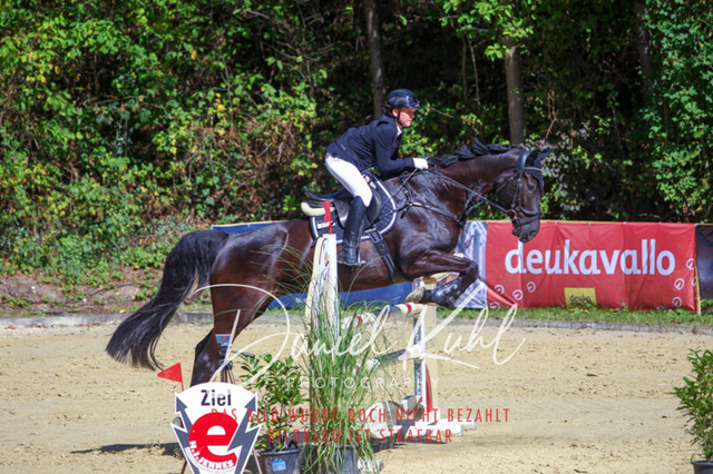 DKP43165 | Deine Turnierfotos vom Reitturnier online kaufen: Dressur, Springen & Siegerehrung. Professionelle Pferdefotografie aus dem Rheinland – als Download & Print.Alternative: Turnierfotograf für den Pferdesport: Finde deine Fotos von Dressur- und Springturnier