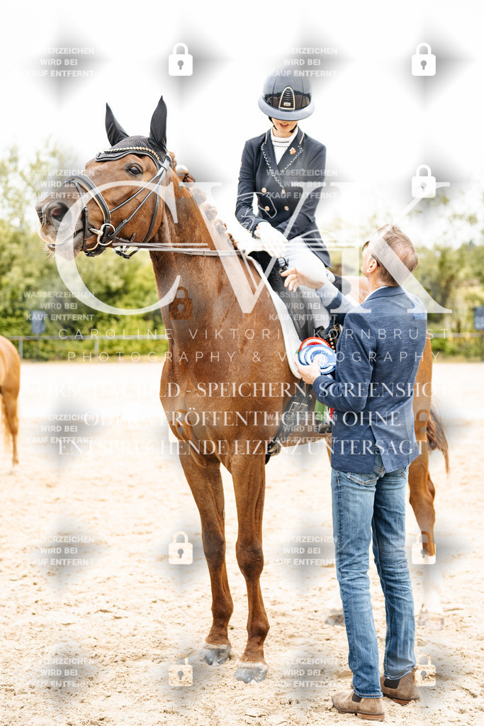 CK703662 | Turnierfotografie Pferdefotografie Trier Rheinland-Pfalz Pferdesport Reitsport Tierfotografie Sportfotografie Pferdevideo Pferdevideografie Equestrianvideography equestrianphotography  - Realisiert mit Pictrs.com