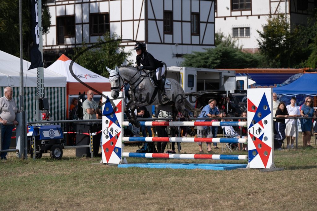 A7V09401 | Pferdefotograf