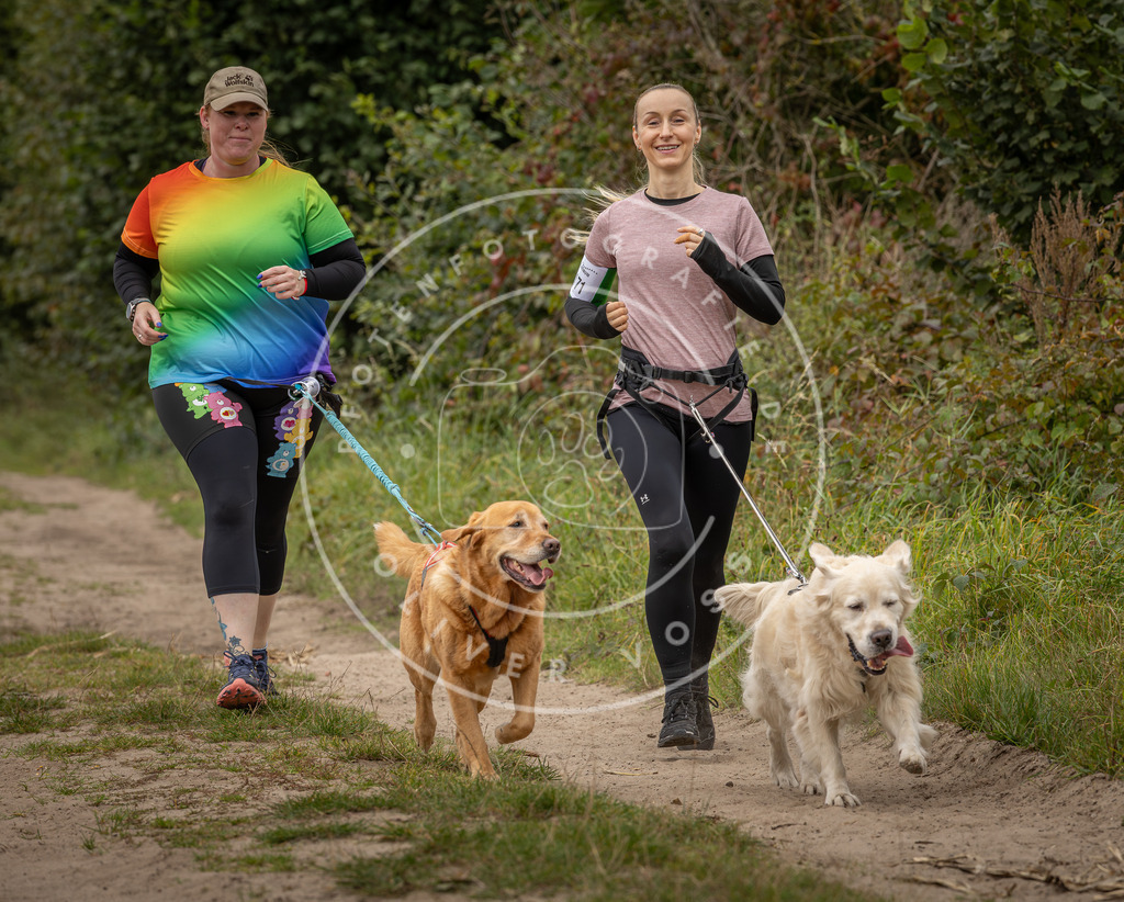 Pfotenfotografie_DV3A7341 | Hundefotografie, Tierfotograf, Pfotenfotografie, Fotoshooting Hund, Hunde Portrait, Hundesport, Hundeportraits, Heideshooting, Hunde, Sportfotograf, Hundefotograf, Turnierhundsport, THS,  - Realisiert mit Pictrs.com